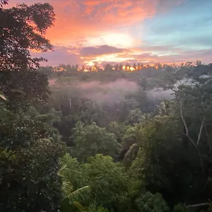https://ubud-jungle-house.ubudhotelsnow.com